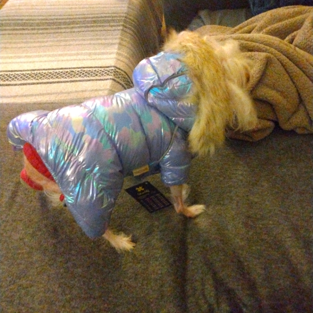 Small dog coat NWT
